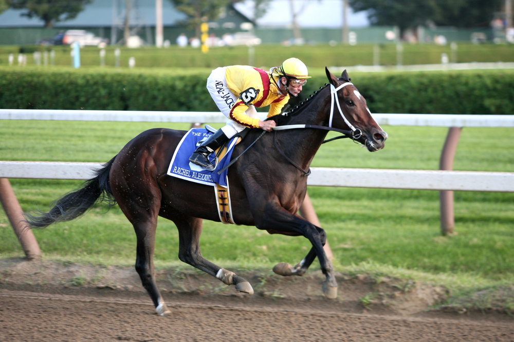 【徹底検証】競馬で人間がなかなか勝てない理由は？